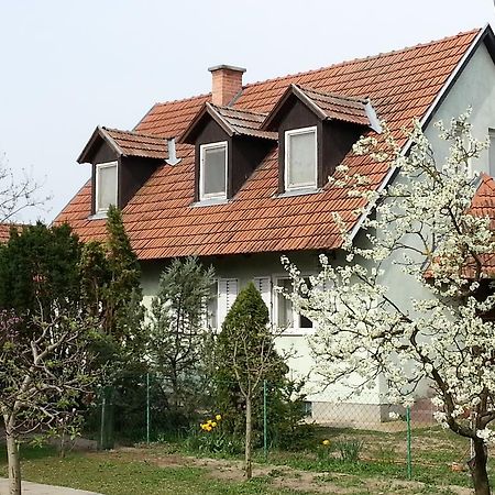 Gyula-tanya Vendégház Csongrád Exterior foto